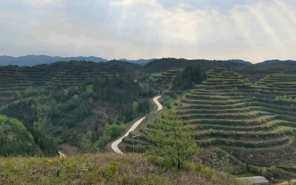 [图]三合串珠“狮子滚绣球”千山朝堂，难得一见