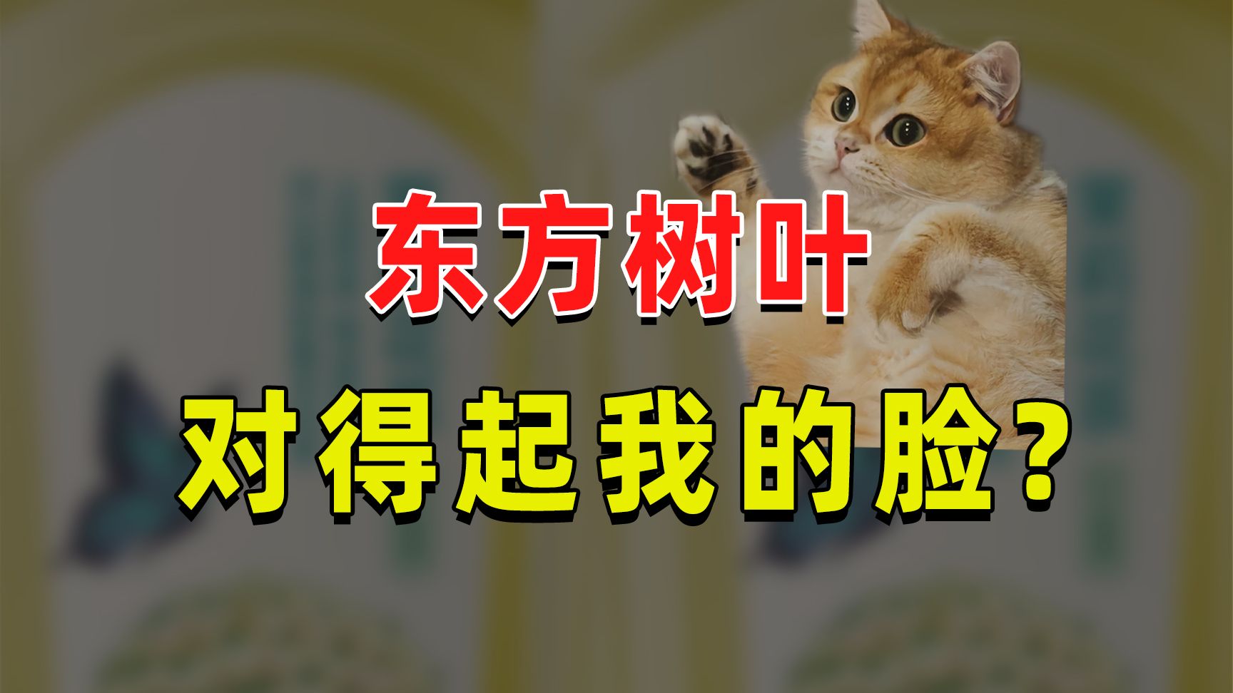 【半佛】东方树叶对得起我的脸吗？