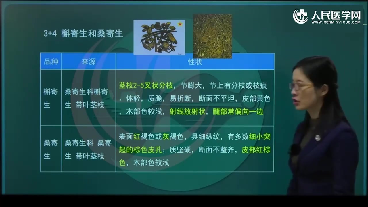 执业中药师考试 2024中药一(中药学专业知识一)\2024年哔哩哔哩bilibili