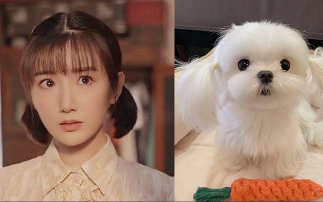 毛晓彤三丽想不到你居然是一语言大师也太才了