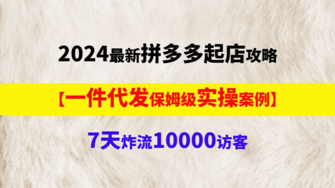 2024最新拼多多起店攻略【一件代发保姆级实操案例】7天炸流10000访客,拼多多起店实操,拼多多运营教学,拼多多新手开店,拼多多运营思路哔哩哔哩...