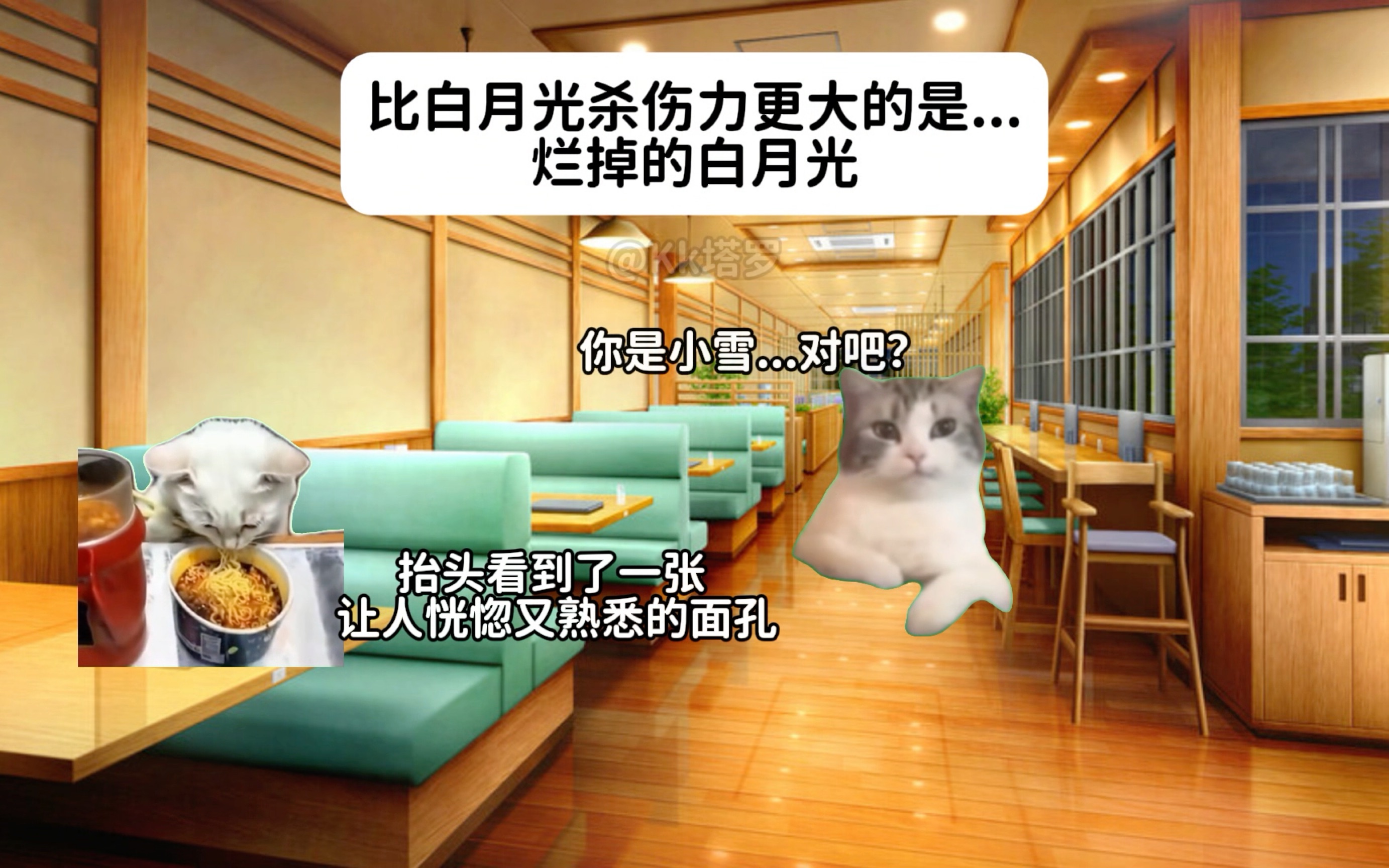 [图]【猫meme】比白月光杀伤力更大的是…烂掉的白月光