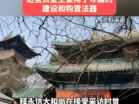 少林寺作为著名的宗教和文化遗产地,吸引了大量信众和游客.哔哩哔哩bilibili