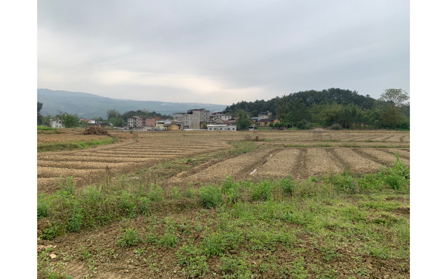 南方的土地是这样哒