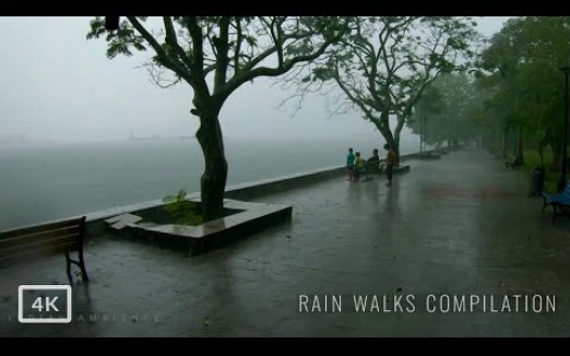 [图]大雨中行走| 3小时我们的雨中行走汇编| 雨声有助于睡眠和冥想4K