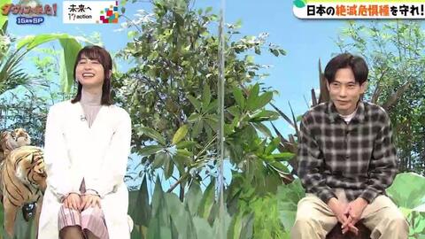 長濱ねる ダーウィンが来た 15周年sp 21 05 04 乃木坂 欅坂 日向坂の動画ここ 46movies 長濱ねる ダーウィンが来た 15周年sp 21 05 04 乃木坂 欅坂 日向坂の動画ここ 46movies