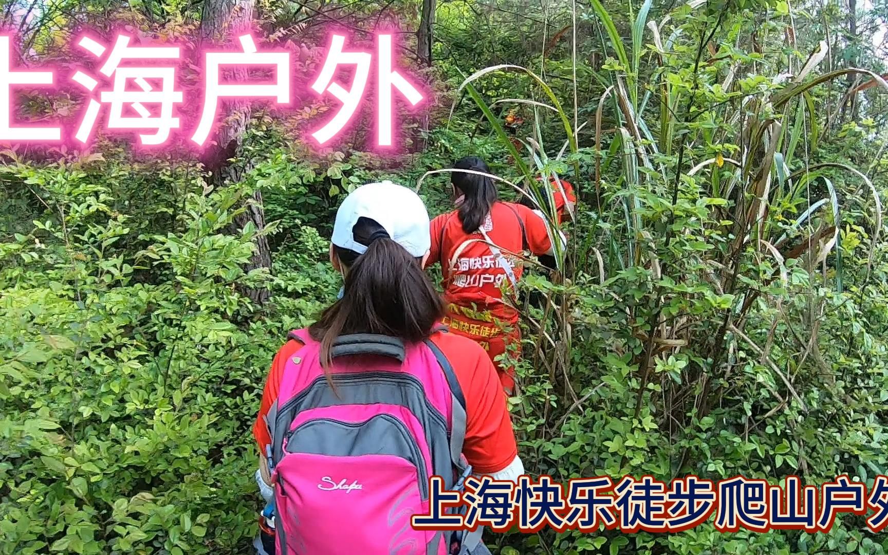 上海户外运动 身边的徒步群登山群 坡山村9上海快乐徒步爬山户外哔哩哔哩bilibili