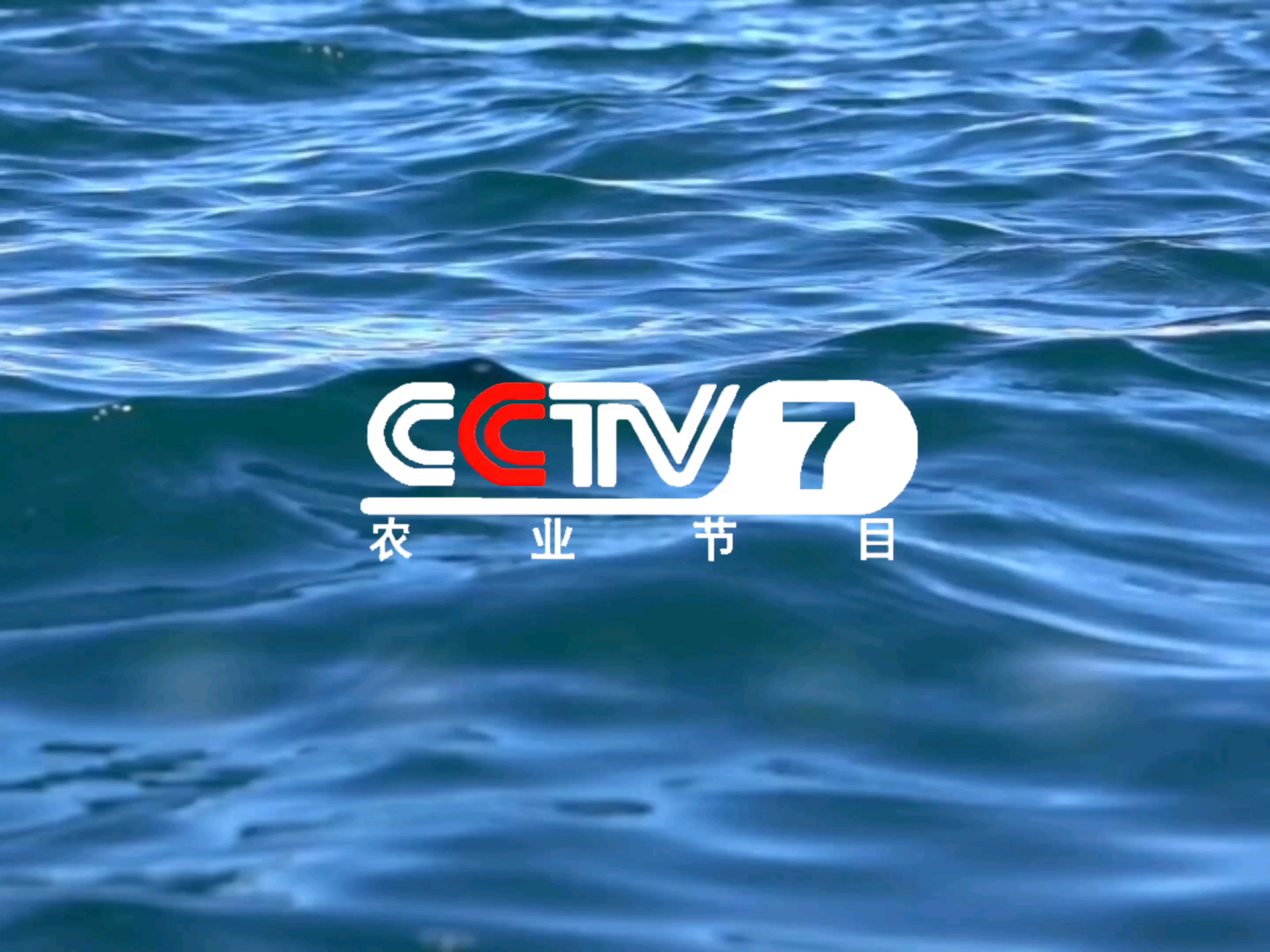 2005年cctv7农业节目id水面篇(微调后)