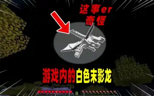 Download Video: 我的世界：玩家在游戏中发现了白色末影龙！