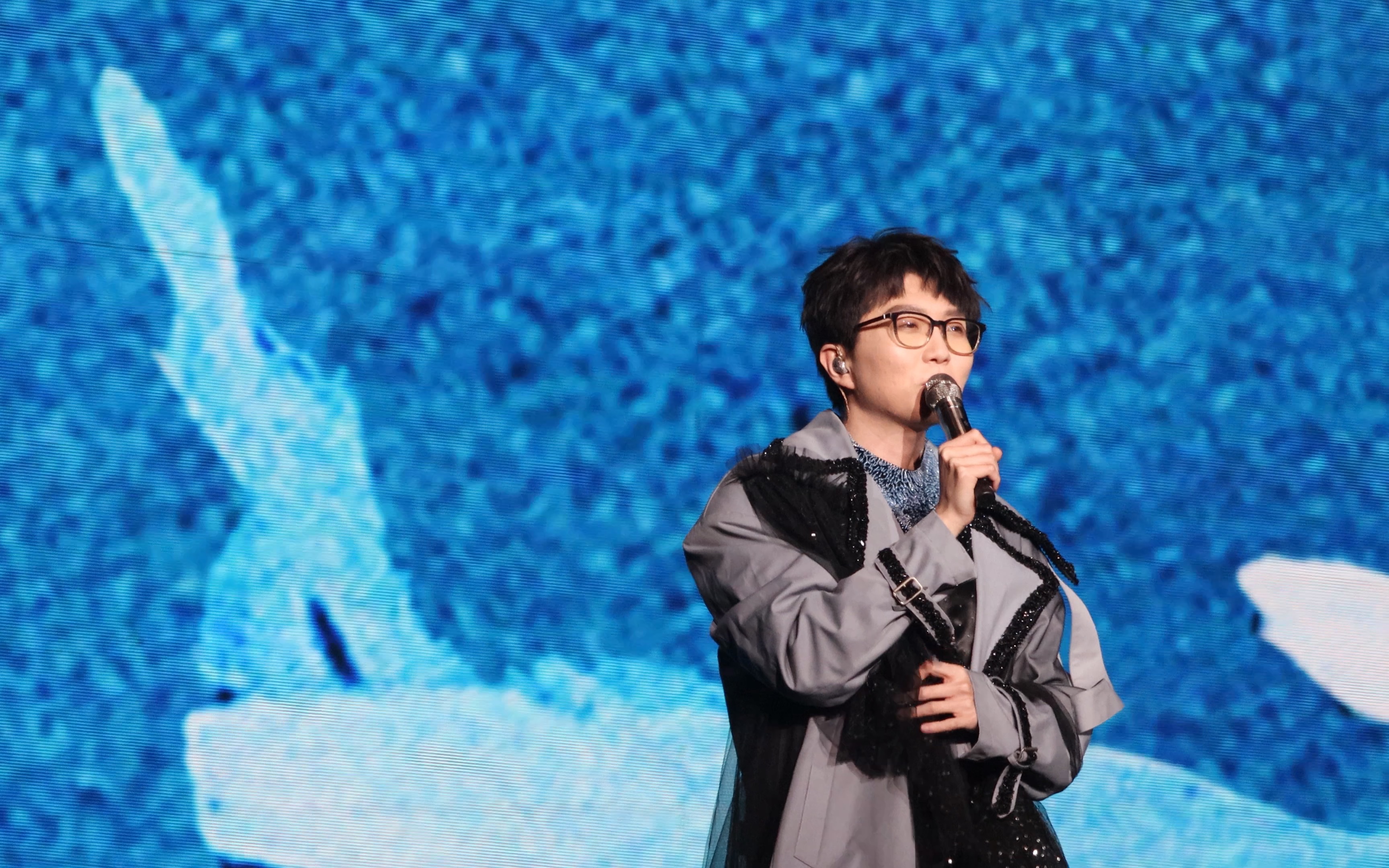 毛不易苏州演唱会talking片段3 粉丝求婚