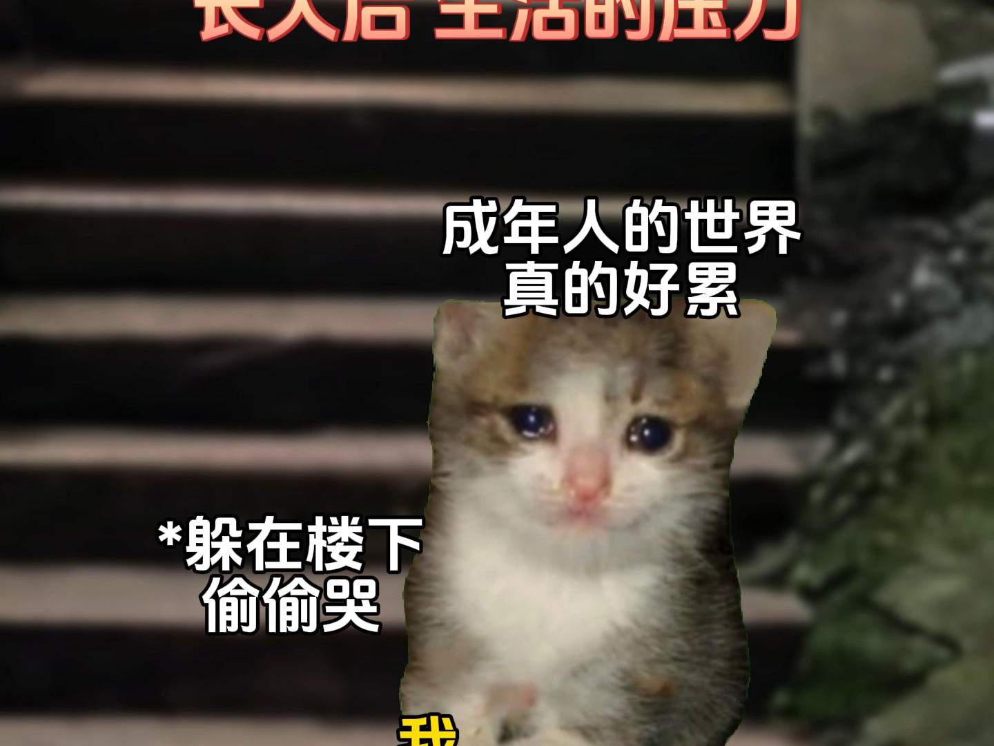 [图]爱会在沉默中生长#故事源于网络#猫meme剧场#真实还原#童年#小猫