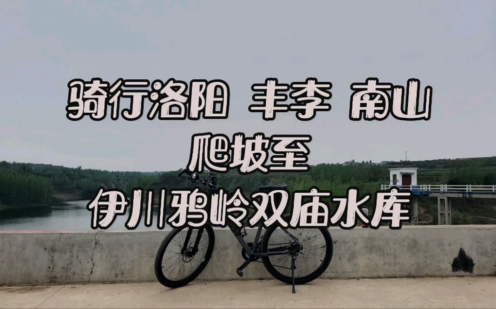 202204骑行洛阳丰李南山爬坡至伊川鸦岭双庙水库_哔哩哔哩_bilibili