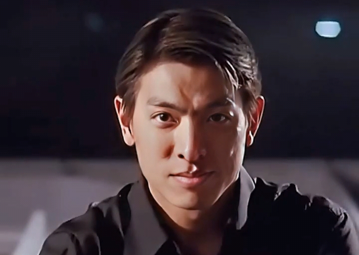 华哥风采:刘德华的经典魅力与动作