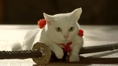 猫侍SEASON 2-哔哩哔哩_Bilibili