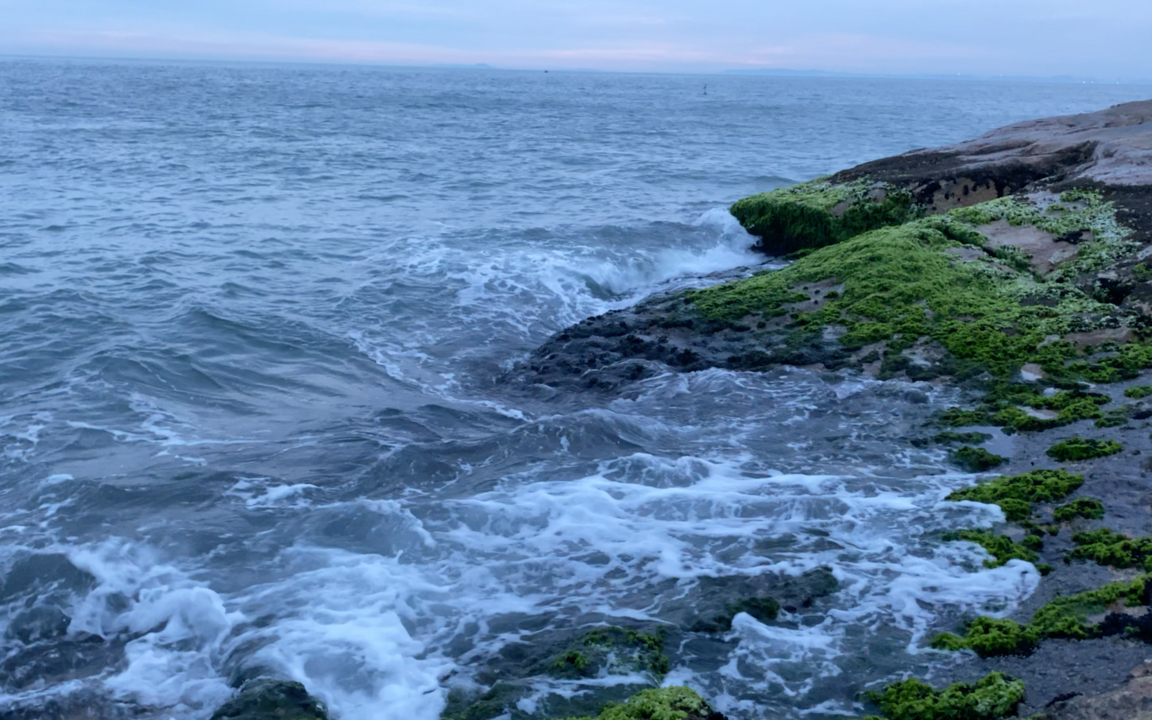 夏天的风我永远记得 清清楚楚地说你爱我_哔哩哔哩_bilibili
