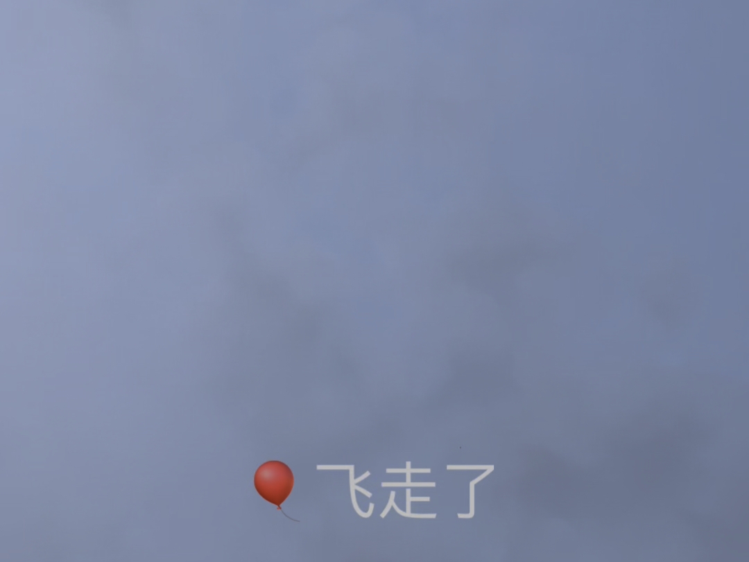 气球飞走了