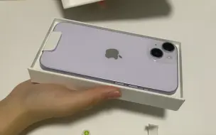 Download Video: 压岁钱买的iPhone14 256GB 紫色 开箱（有点点沉浸式