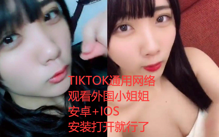 TIKTOK无需特殊操作即可观看外国的小姐姐.支持登陆关注评论哔哩哔哩bilibili