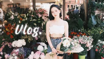 全英Vlog | MIT教授的意大利暑校 ᶘ ᵒᴥᵒᶅ