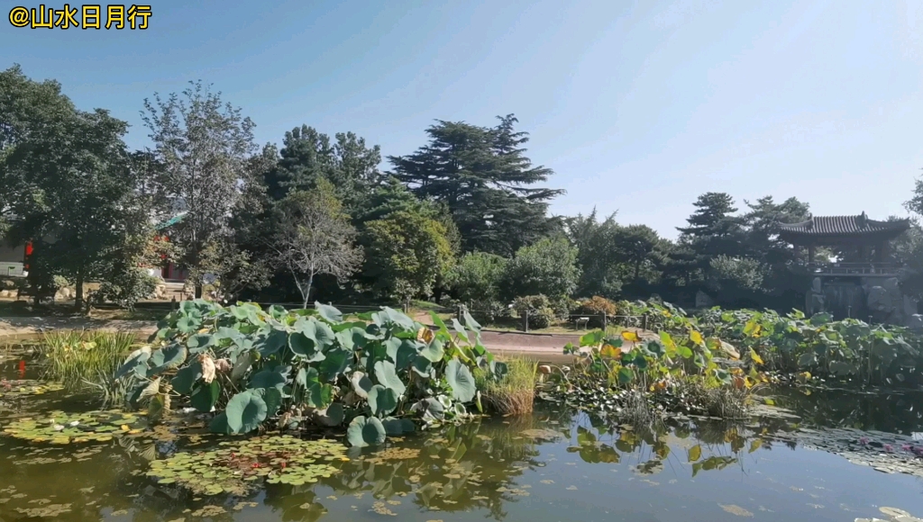 北京植物园,看看隶属中科院植物研究所的景色,旅拍原创视频哔哩哔哩bilibili