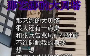 Descargar video: 那艺娜的大贝塔电子琴演奏