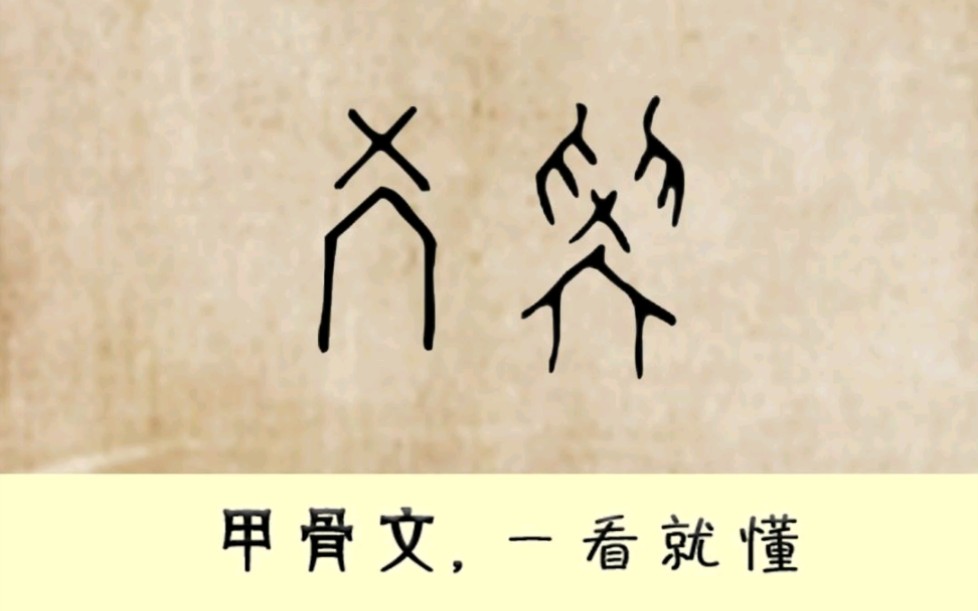 [图]“学”甲骨文4600多个，每天学习一点点