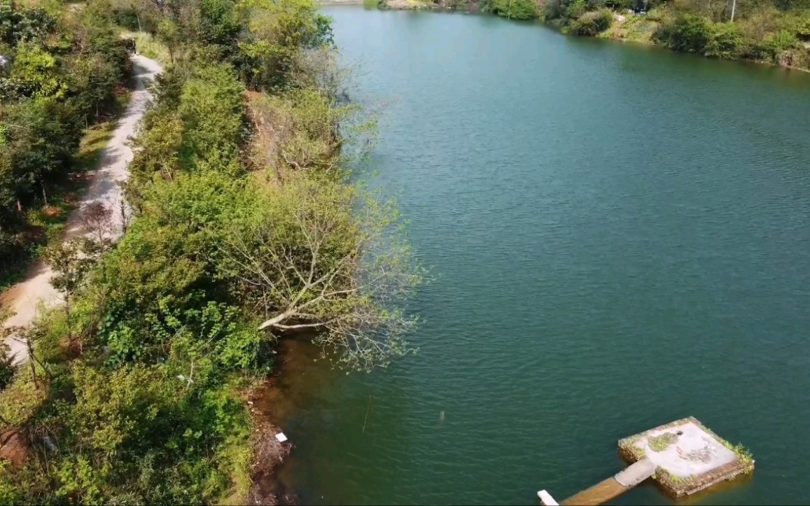 活动  孙家坞水库 带娃烧烤好去处