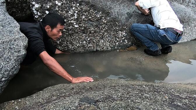小囿赶海抓到堆好货,却遇游客强势砍价买走,最值钱的砍到最低价