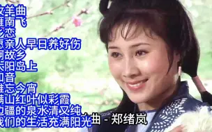 Descargar video: 80年代优秀影视插曲精选11首联唱