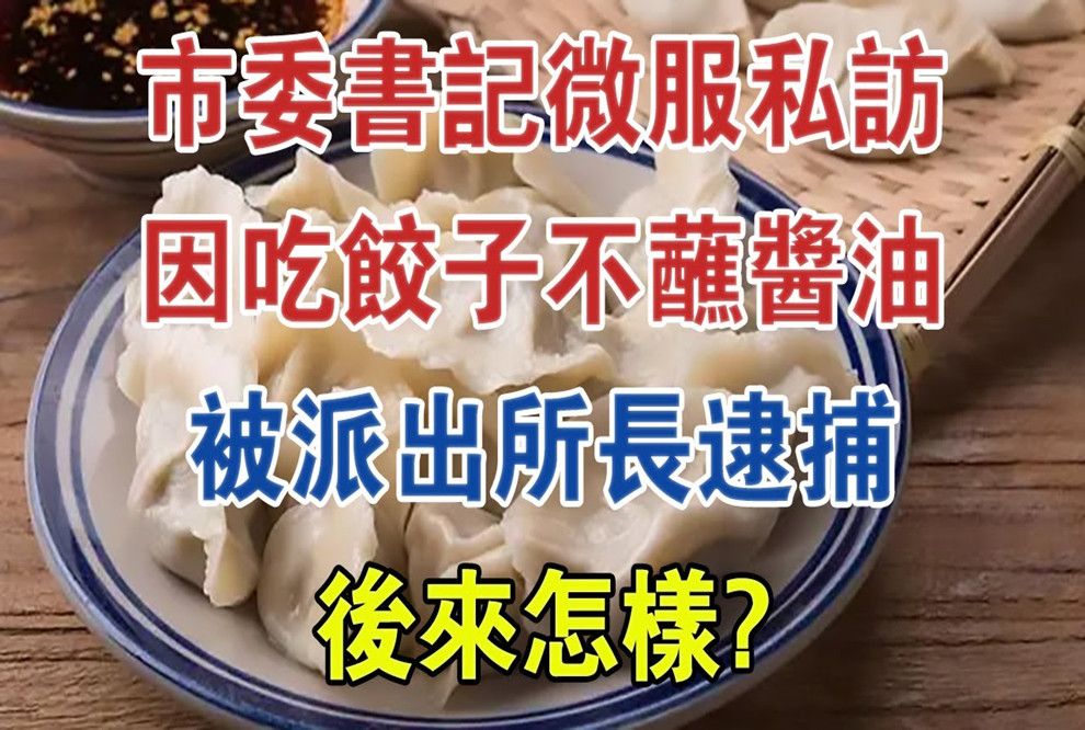 市委书记微服私访,却因吃饺子不蘸豉油被派出所长逮捕,后来怎样#大案纪实#刑事案件#案件解说哔哩哔哩bilibili