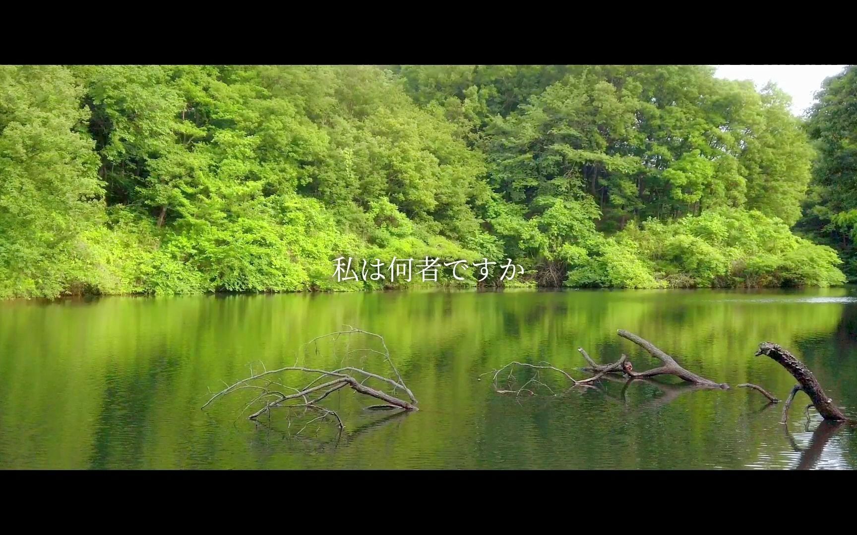 [图]【日本基黑】明日の叙景 - From the Bottom of the Biotope（lyric video）