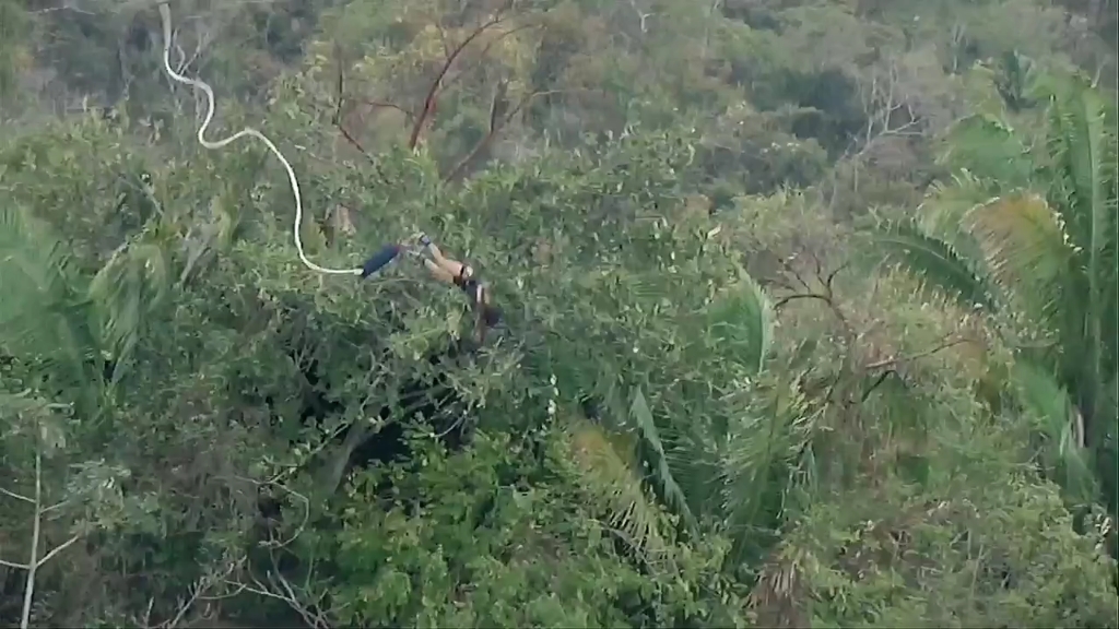 [图]变异生物，八爪狂鲨大战梭边翼龙，力量与速度的对决谁更厉害？