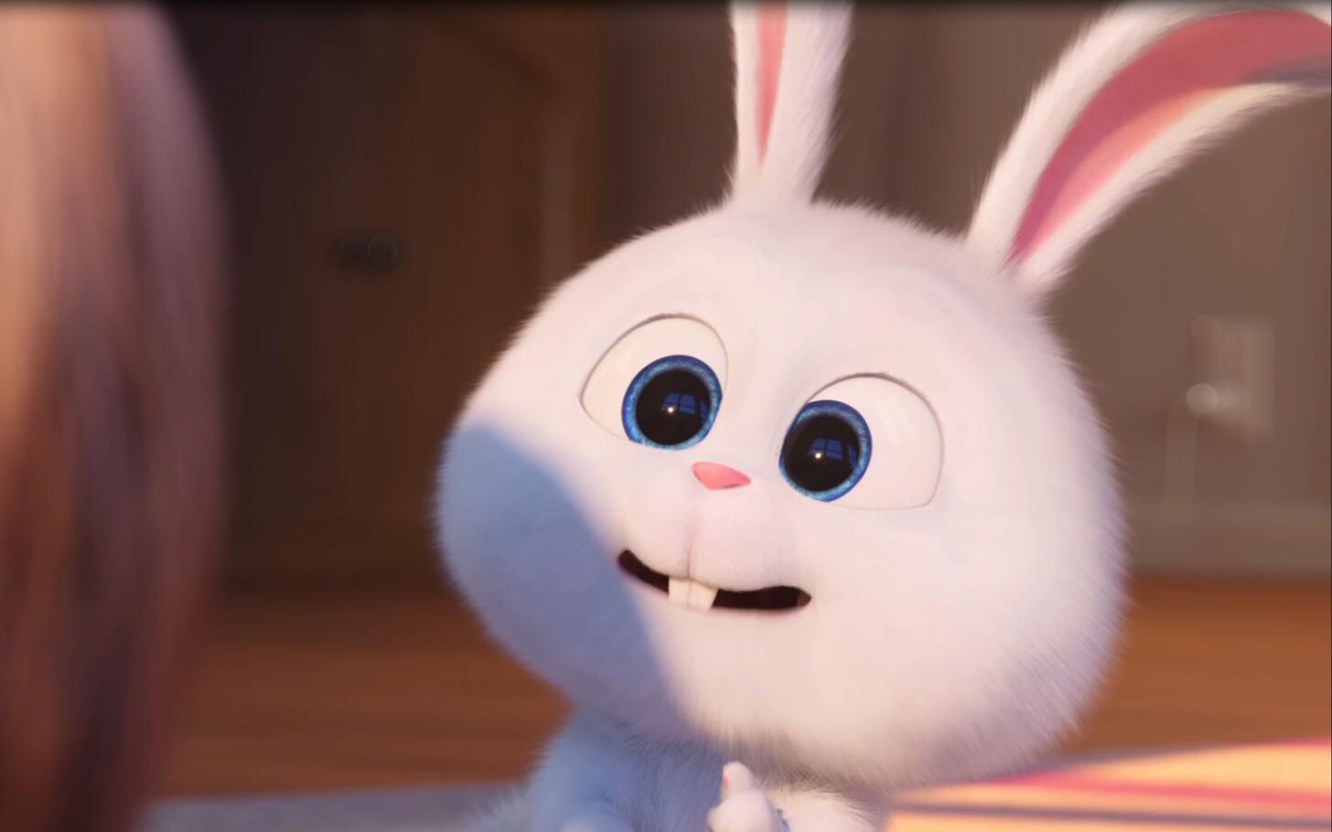 【预告】【爱宠大机密】一大波萌宠即将来袭!