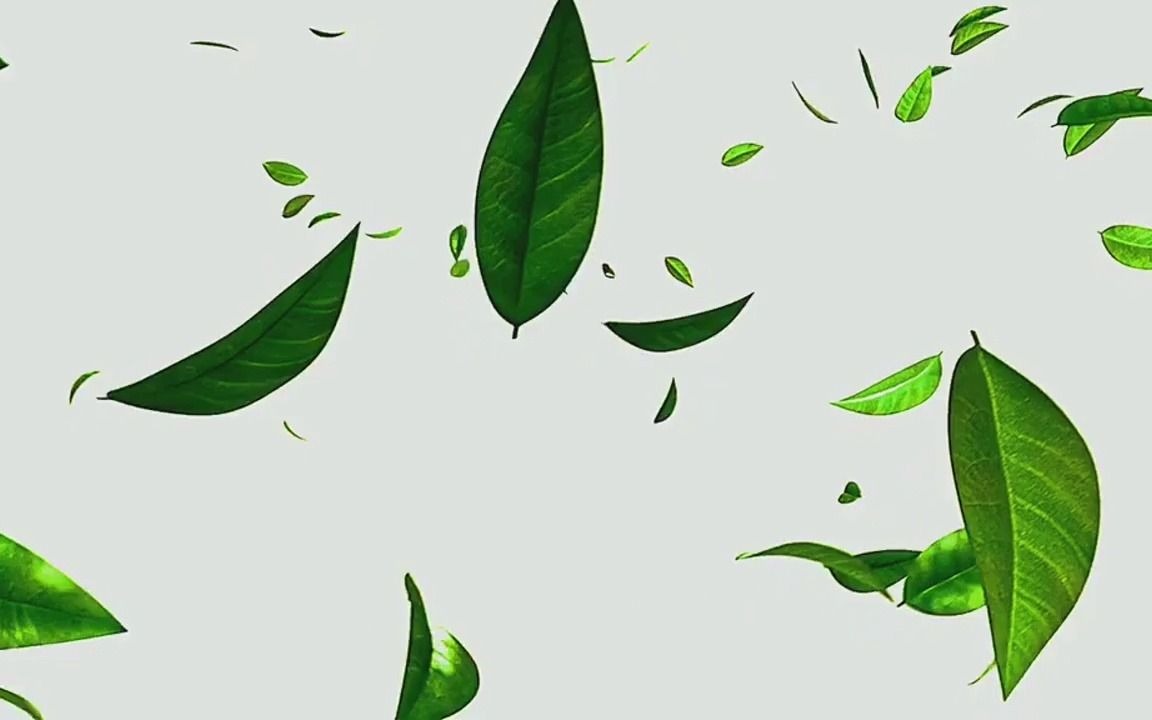 手机剪辑抠图白幕树叶飞舞素材特效_哔哩哔哩 (゜-゜)つロ 干杯~-bili