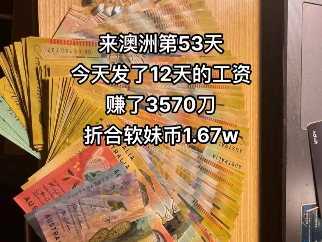 澳洲第53天,发工资了,2周赚了3570刀,折合人民币1.67w,我给兄弟们拖后腿了哔哩哔哩bilibili