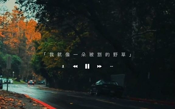 汽车歌曲合集,汽车音乐下载打包下载,下载mp3的歌曲网站哔哩哔哩bilibili