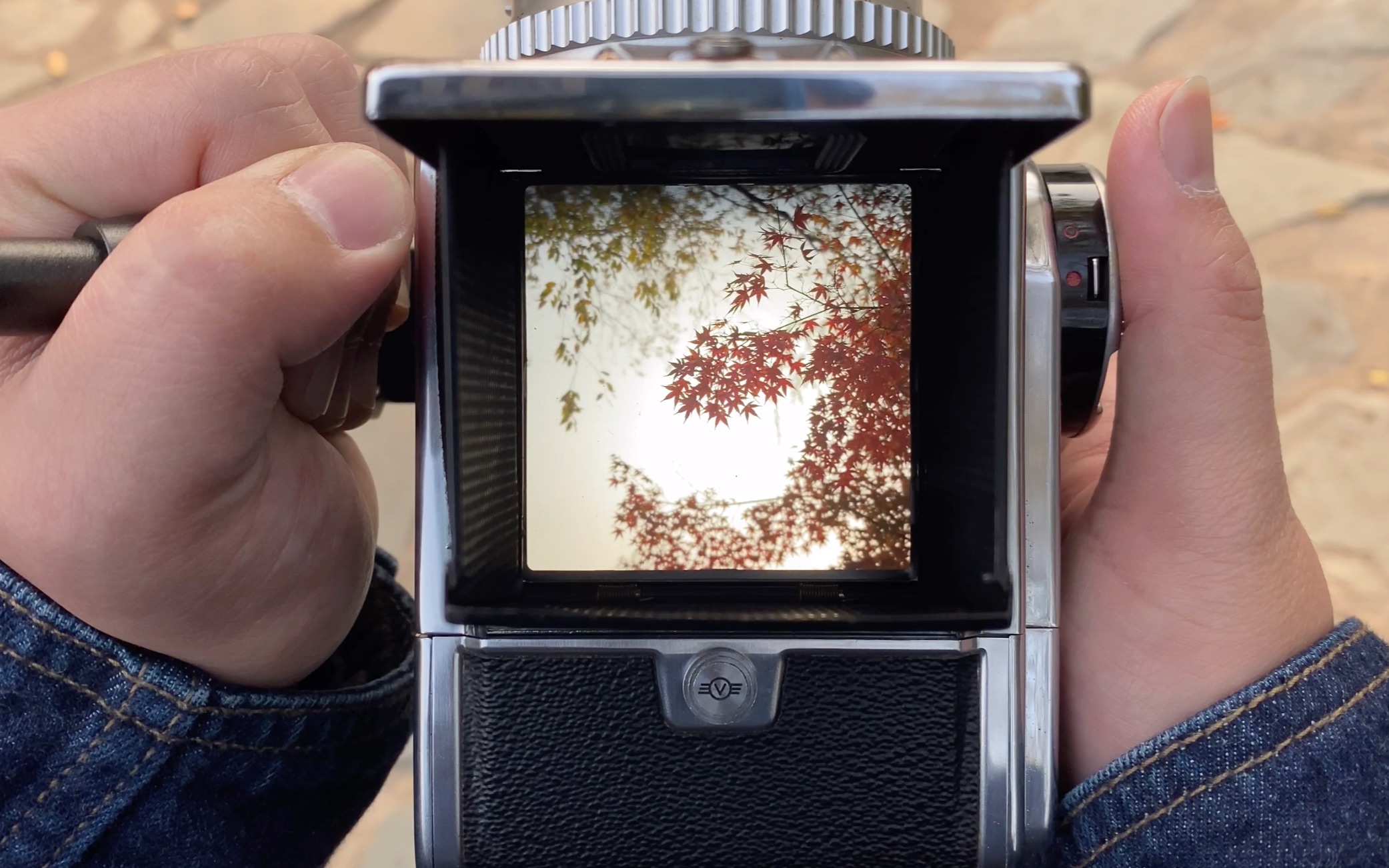 腰平取景器里的世界2——哈苏 500cm 取景器log 长风公园 扫街