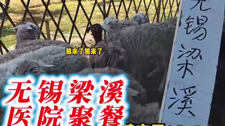 医护团建烟火局！梁溪上门烤全羊，称重透明，全程看得见