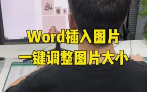 Download Video: Word插入图片一键调整图片大小