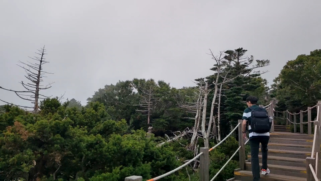 [图]汉拿山顶和云海肩并肩