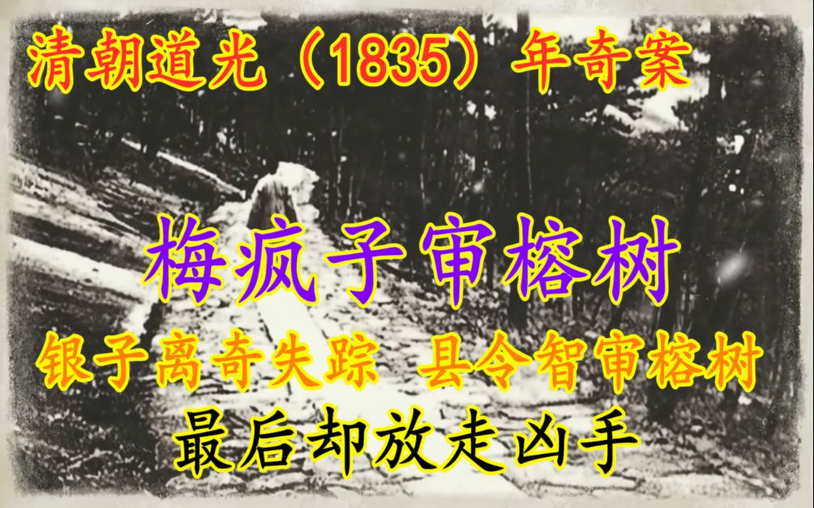 清朝道光(1835年)奇案:银子离奇失踪,县令智审榕树,最后却放走凶手哔哩哔哩bilibili