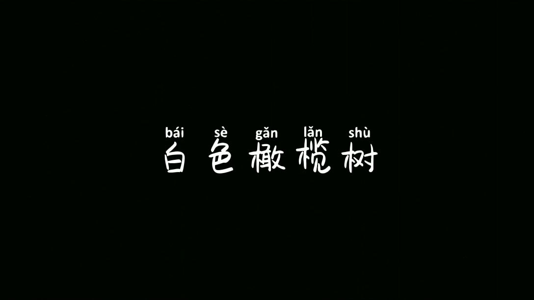 白色橄榄树哔哩哔哩bilibili