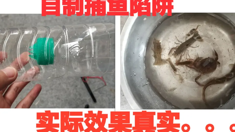 4个长地笼捕鱼，用农村常见的东西当诱饵，每次满载而归，真过瘾_哔哩哔哩_bilibili