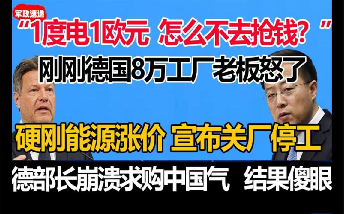 “1度电1欧元!怎么不去抢钱?”刚刚德国8万工厂老板怒了!哔哩哔哩bilibili