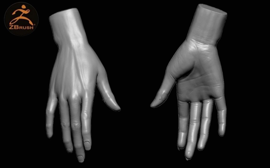 【zbrush新手教程】zb女性手部写实精细雕刻,手部纹理,指纹指甲超细节