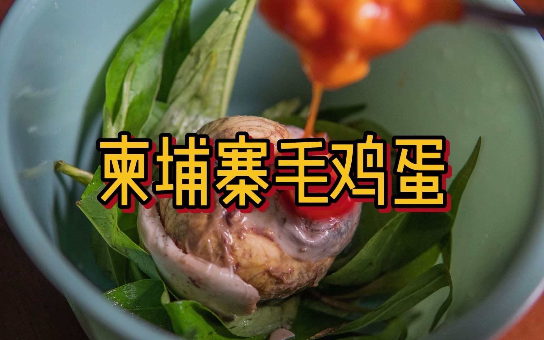 柬埔寨黑暗料理|一美金买两个|补充体力|味道鲜美极了|毛鸡蛋活珠子喜蛋|越南菲律宾路边摊|哔哩哔哩bilibili