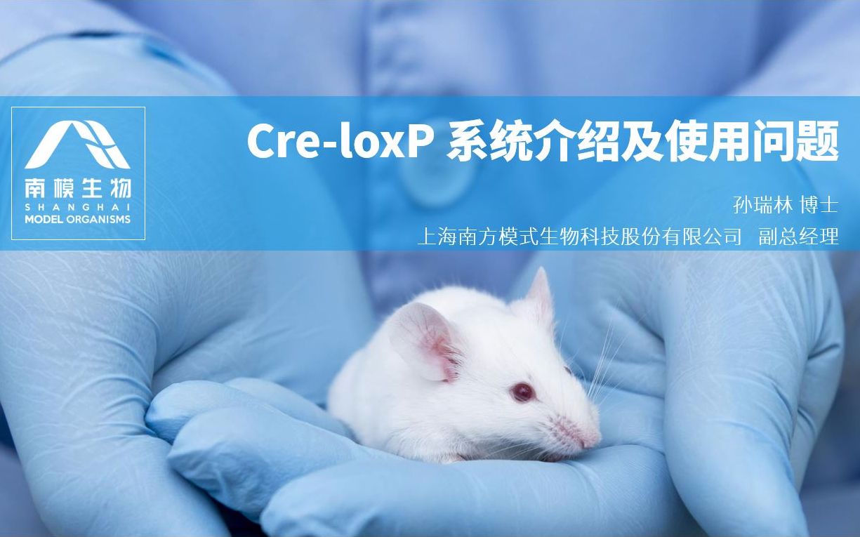 CreloxP系统介绍及使用问题哔哩哔哩bilibili