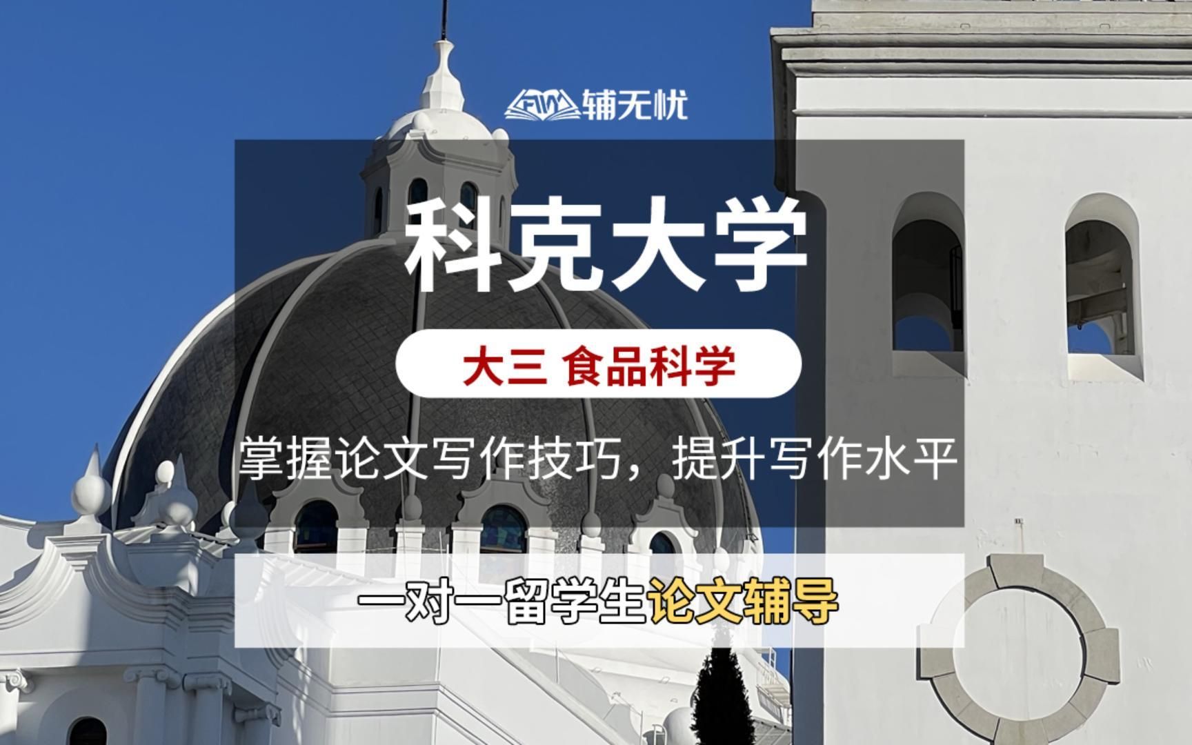 科克大学食品科学专业大三留学生一对一论文辅导课件讲解哔哩哔哩bilibili