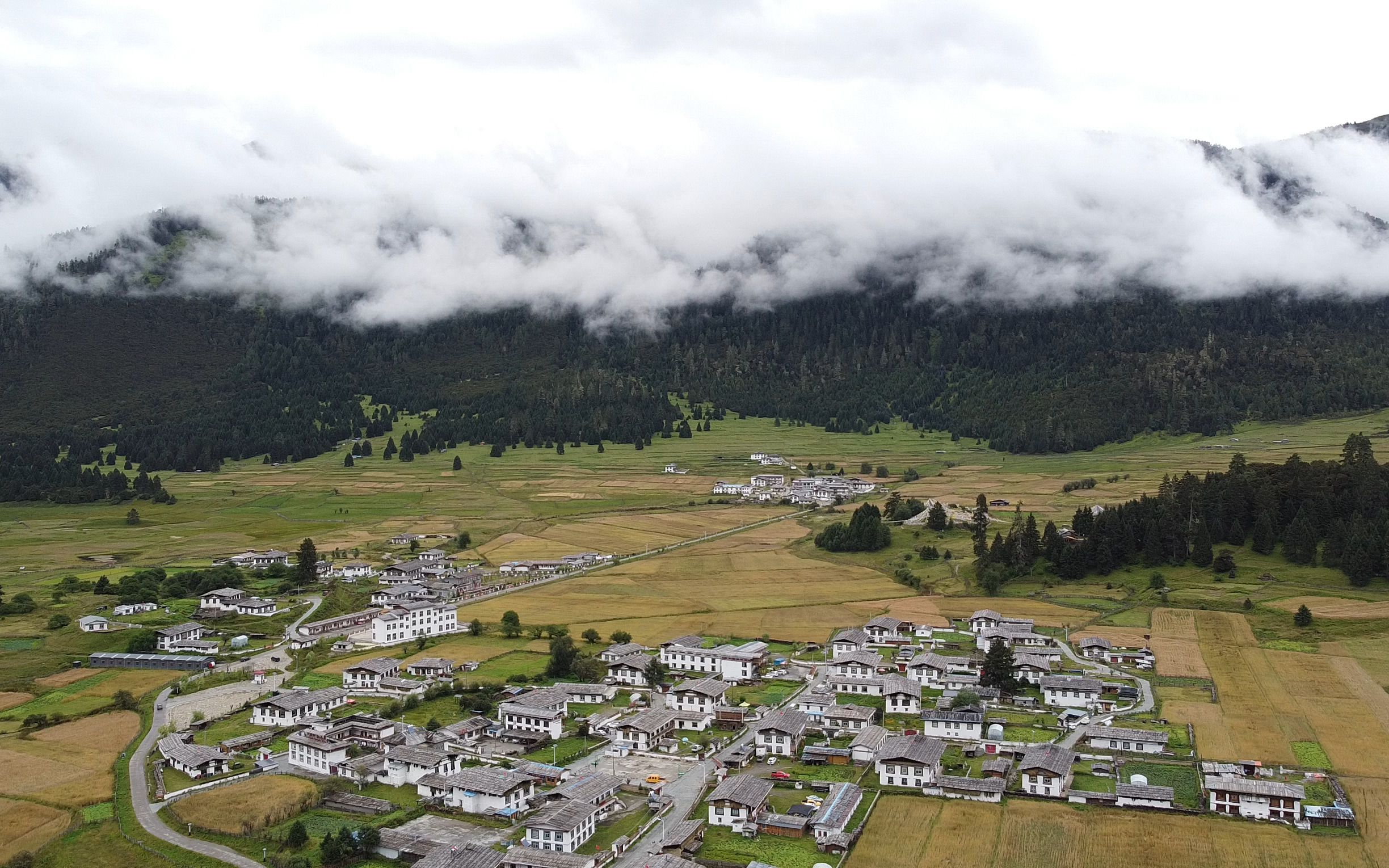 2020-08-16 西藏林芝鲁朗镇8_哔哩哔哩_bilibili