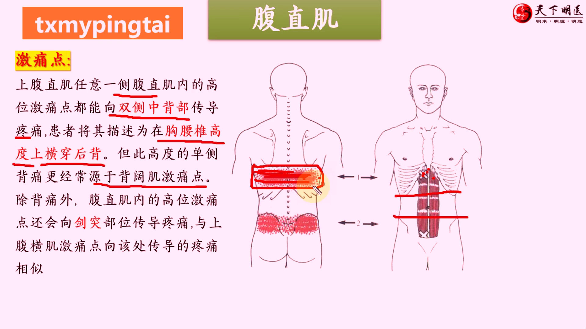 背阔肌疼痛怎么办图片